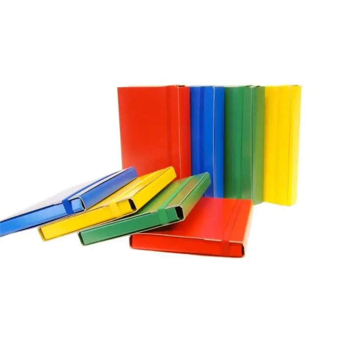 CF 6 PZ colori ass Cartelle con elastico dorso 3 Memotak