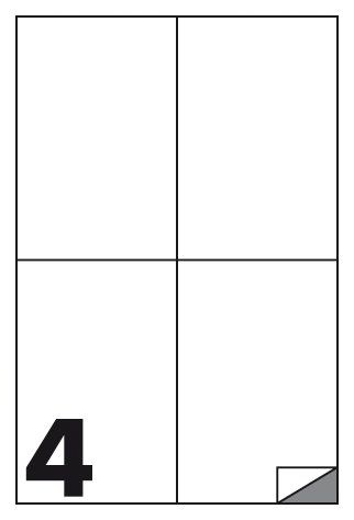 CF 100 FOGLI ETICHETTE MULTIFUNZIONE F.TO 105X148 5 MM