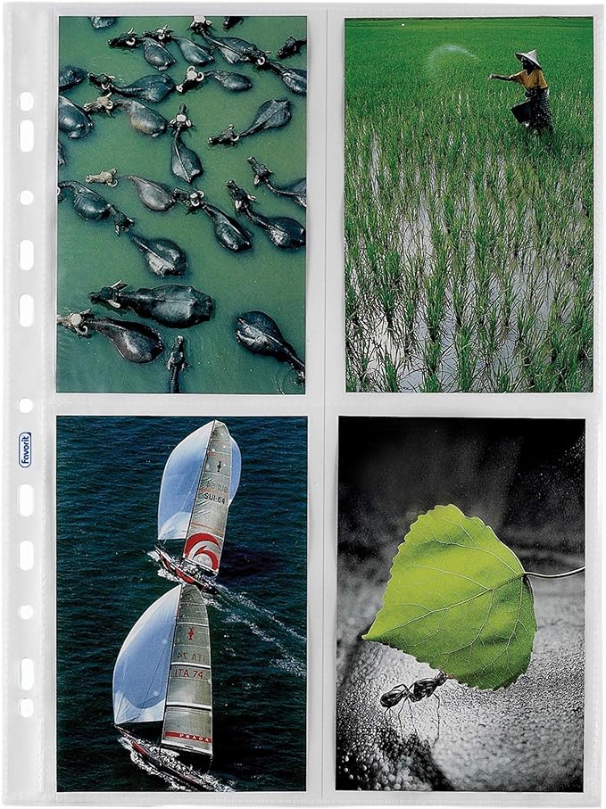 Cf da 10 pz. Favorit Buste Trasparenti 4 Tasche 10 x 15 cm