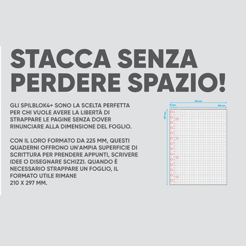 CF 2 PZ QUADERNO SPIRALATO MAXI A4 SPILBLOK4BIG 5MM SF 144FF