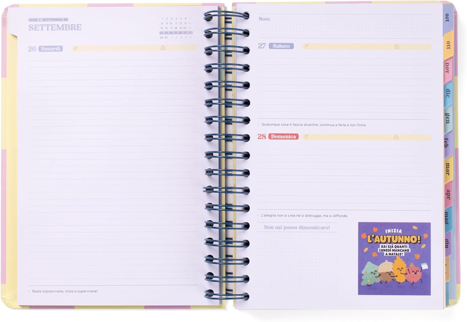 Mr. Wonderful -Diario Wonder 25/26 -Grande Giornata In Vista