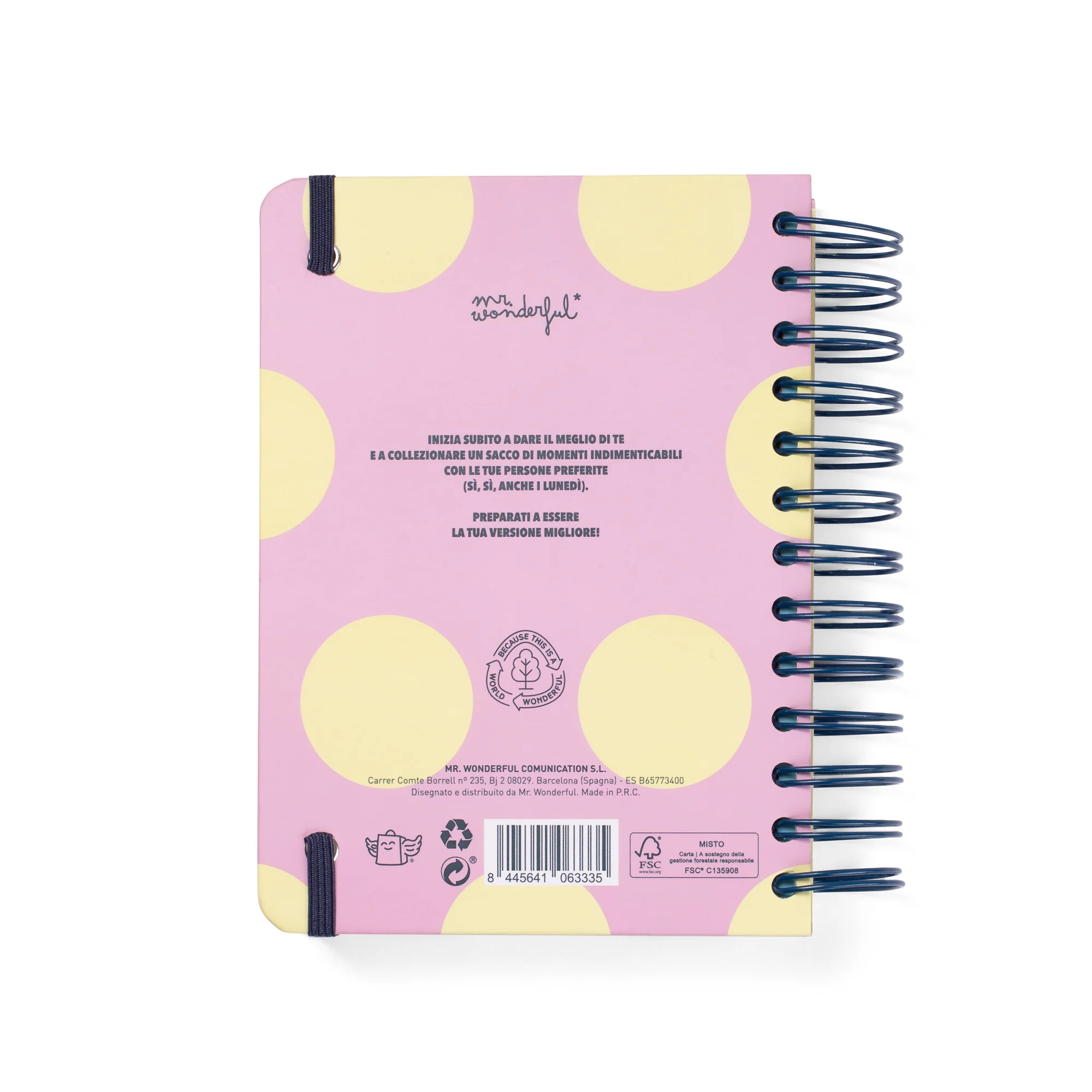 Mr. Wonderful -Diario Wonder 25/26 -Grande Giornata In Vista