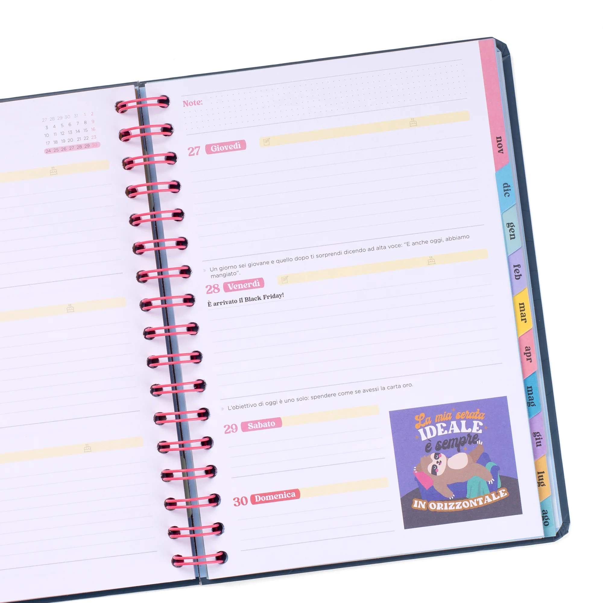 Mr.Wonderful -Diario 25/26 -Progetti  Illusioni e Vibrazioni