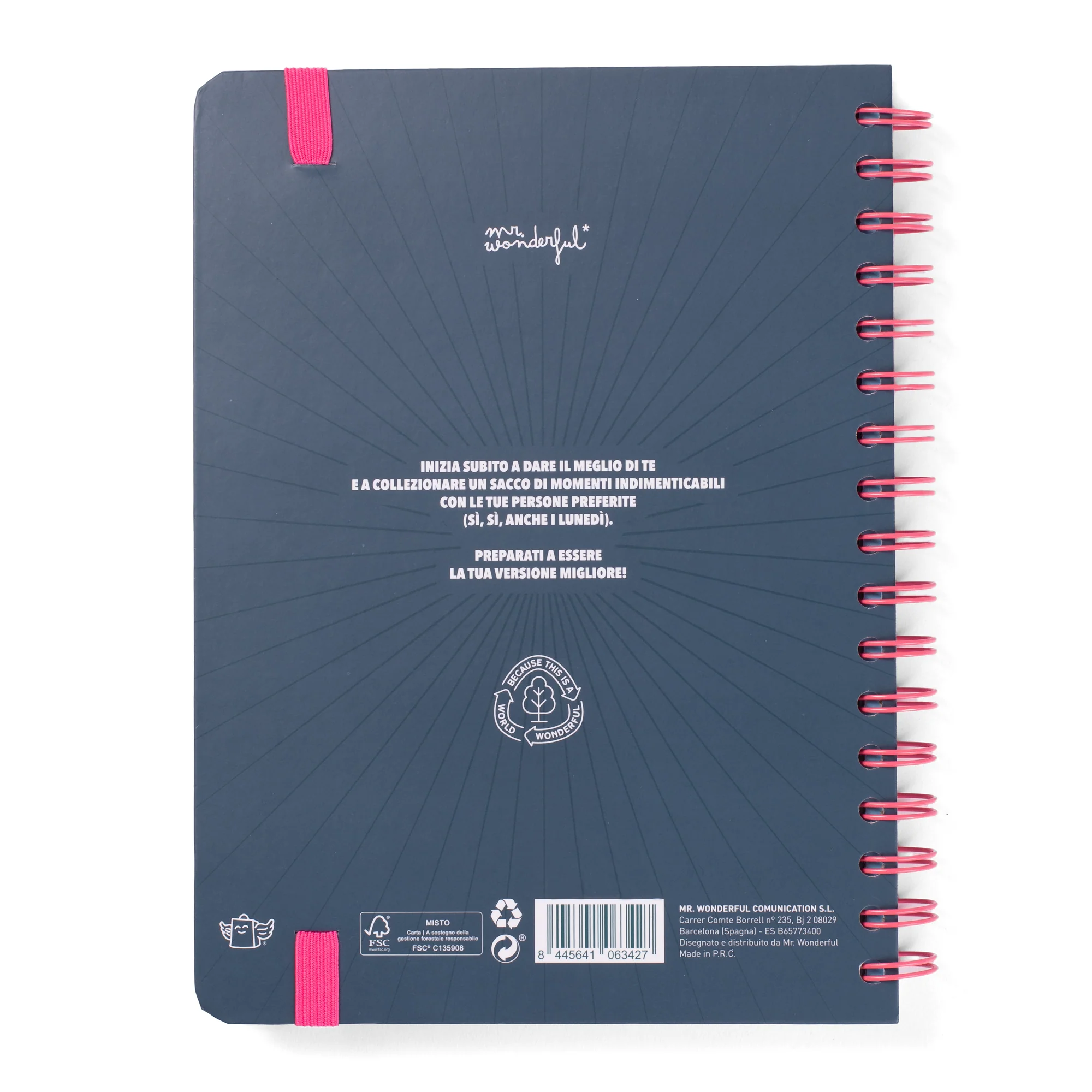 Mr.Wonderful -Diario 25/26 -Progetti Illusioni e Vibrazioni