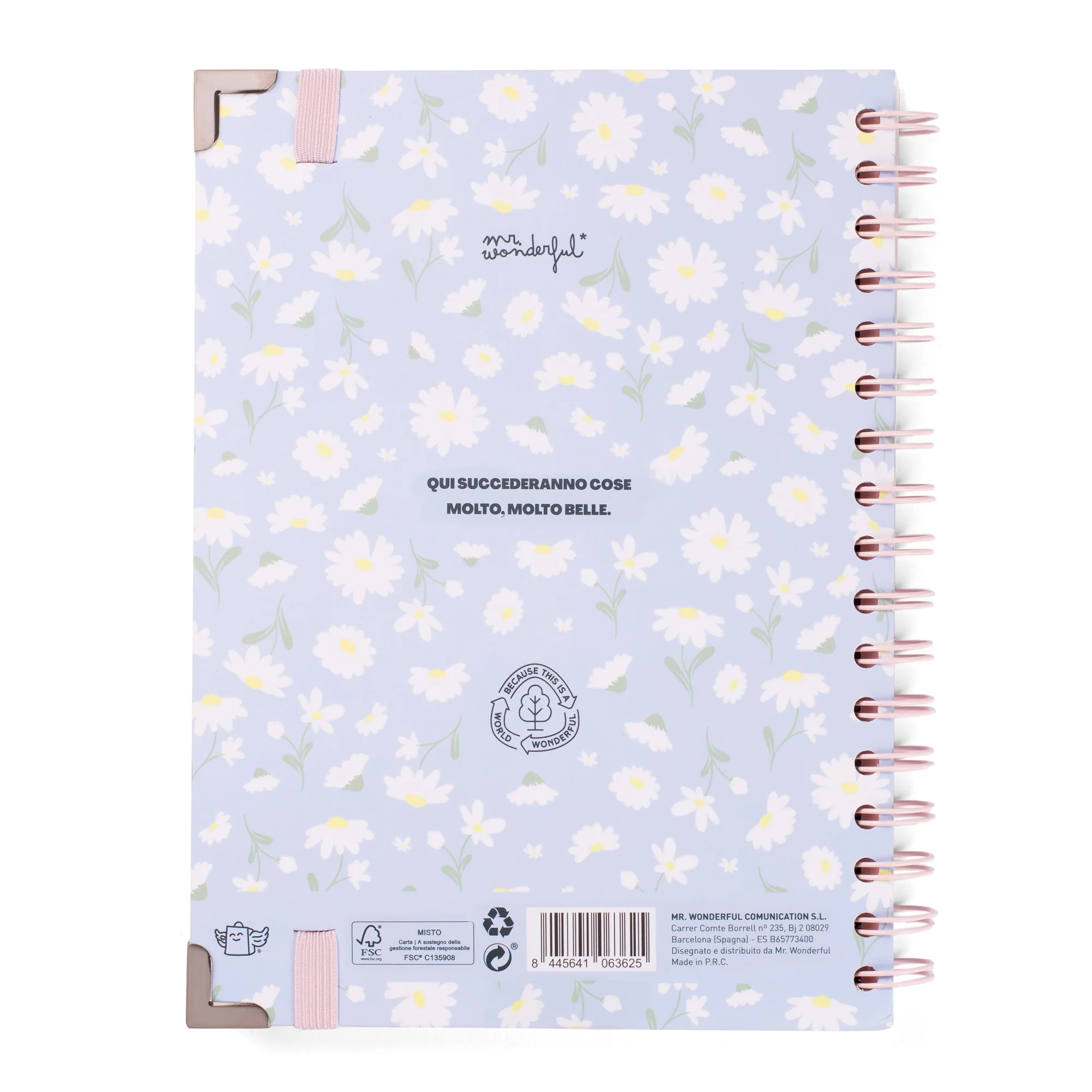 Mr.Wonderful - Diario Office 25/26 - C'era una volta...