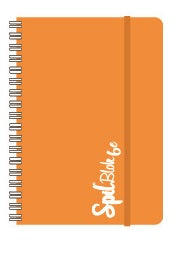 CF 6 PZ QUADERNO SPIRALATO A6 SPILBLOK6 CON ELASTICO 1 RIGO