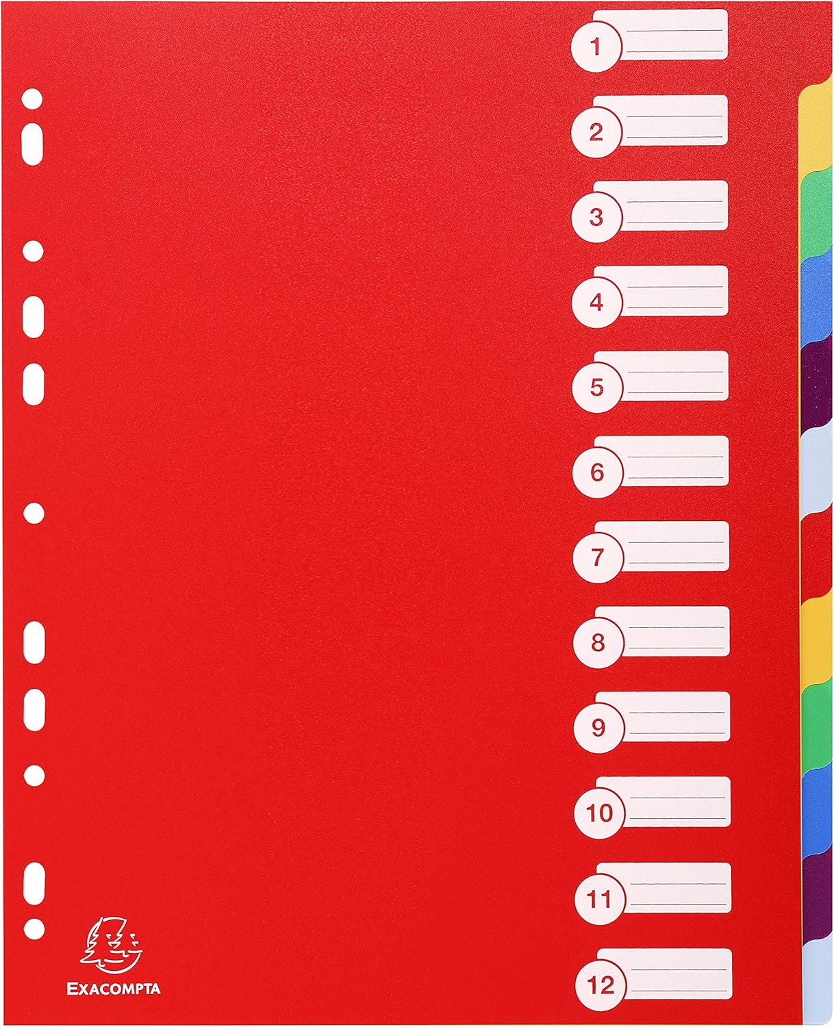 DIVISORI NEUTRI 12 TASTI PPL OPACO 300 MICRON A4 COLORI ASS