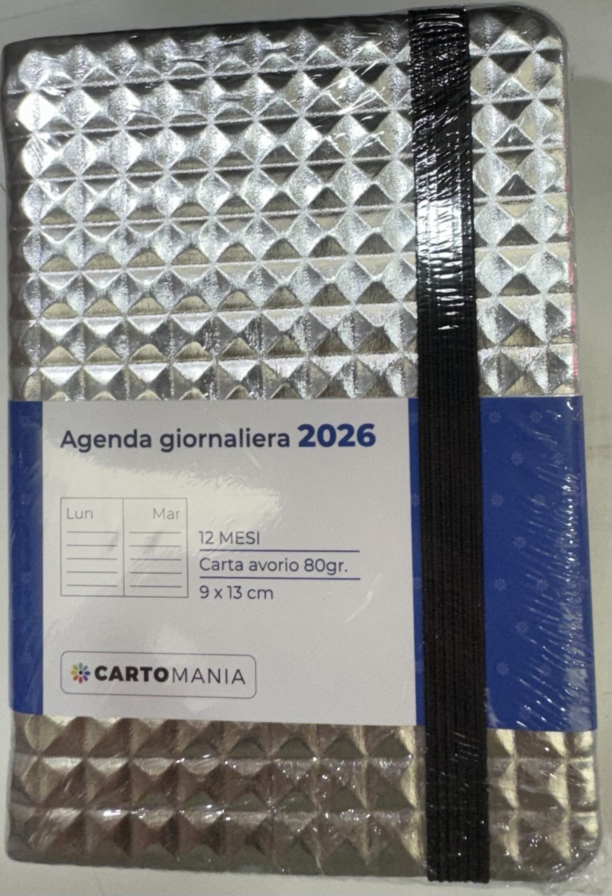 CARTOMANIA - PIXELGLOW AGENDA GIORNALIERA 12 MESI - SILVER