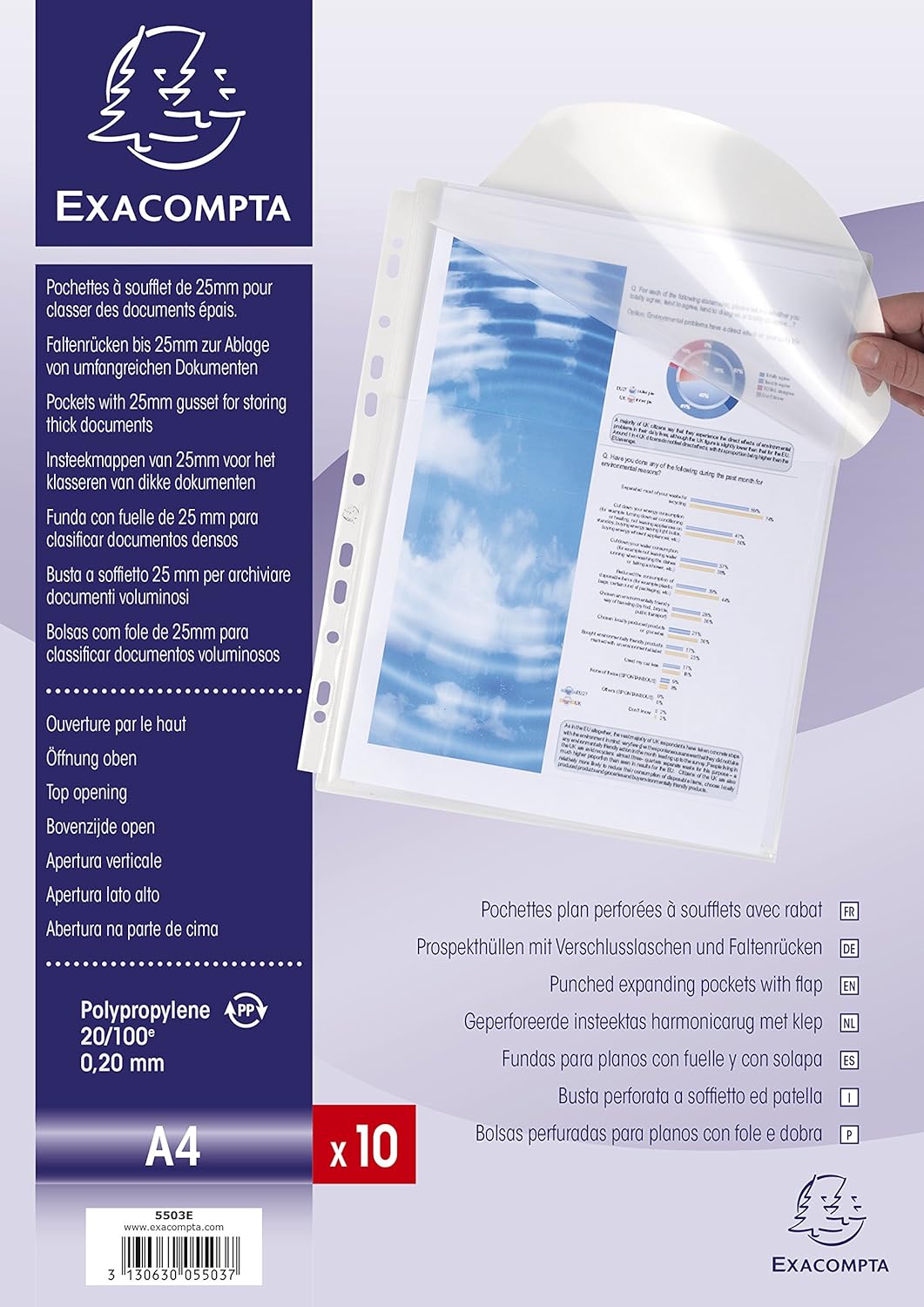 BISTER DA 10 BUSTE FORATE A SOFFIETTO CON PATELLA