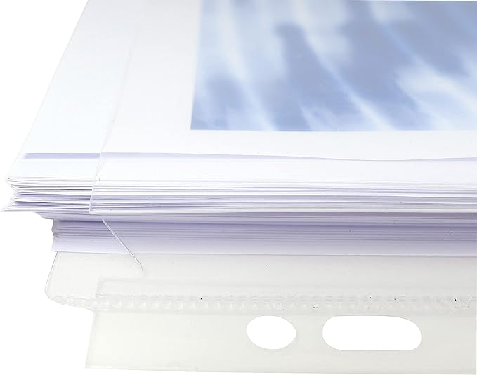 BISTER DA10 BUSTE FORATE A SOFFIETTO EXACOMPTA SENZA PATELLA