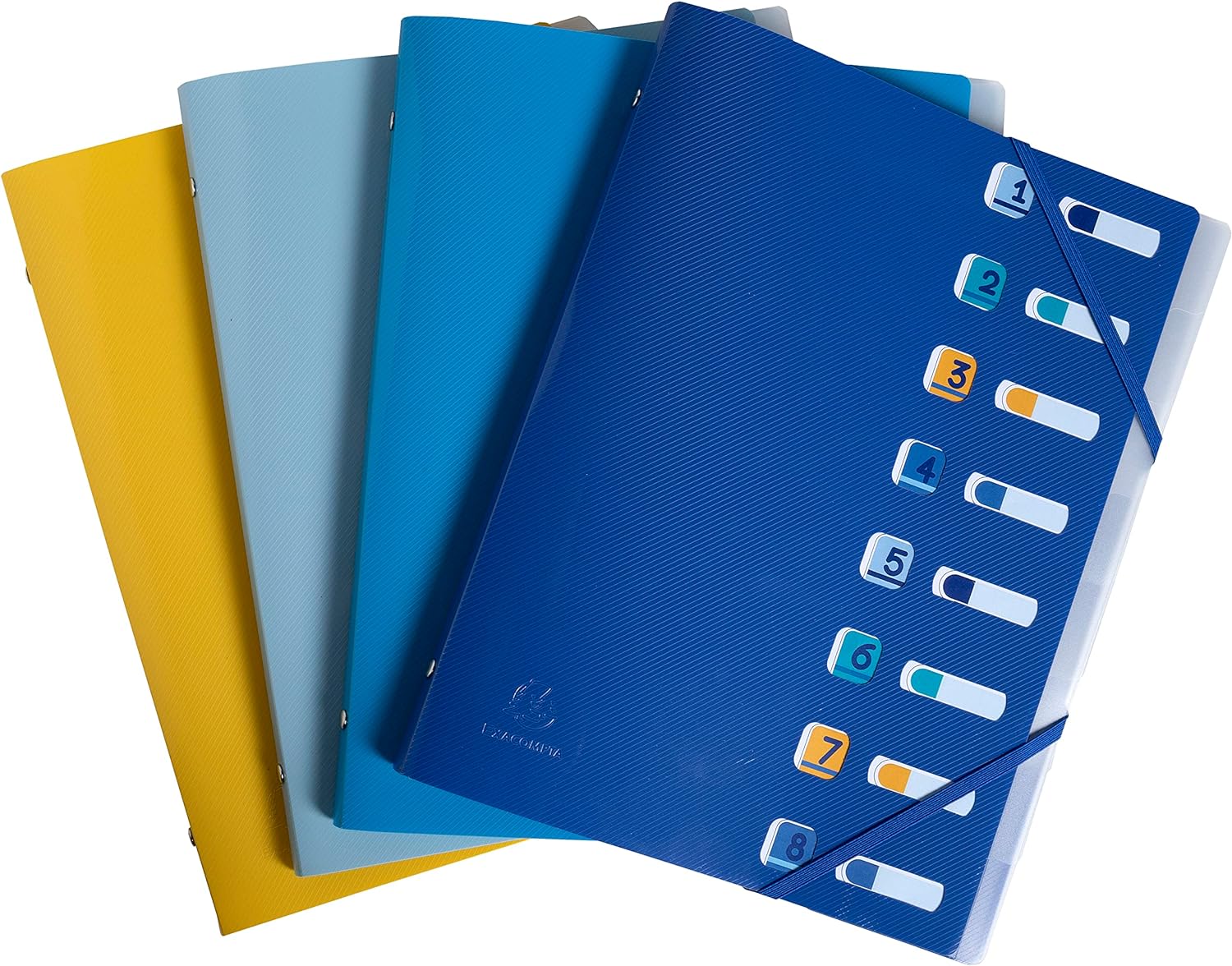 CARTELLA 3 LEMBI BEE BLUE POLIPROPILENE RICICLATO ELASTICI