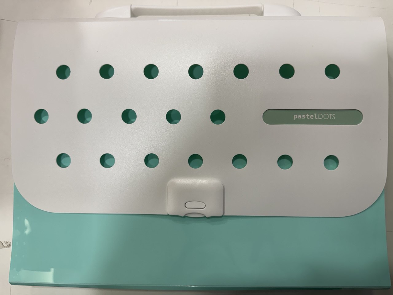 Classificatore a soffietto 13 scomparti - Pastel Dots Verde