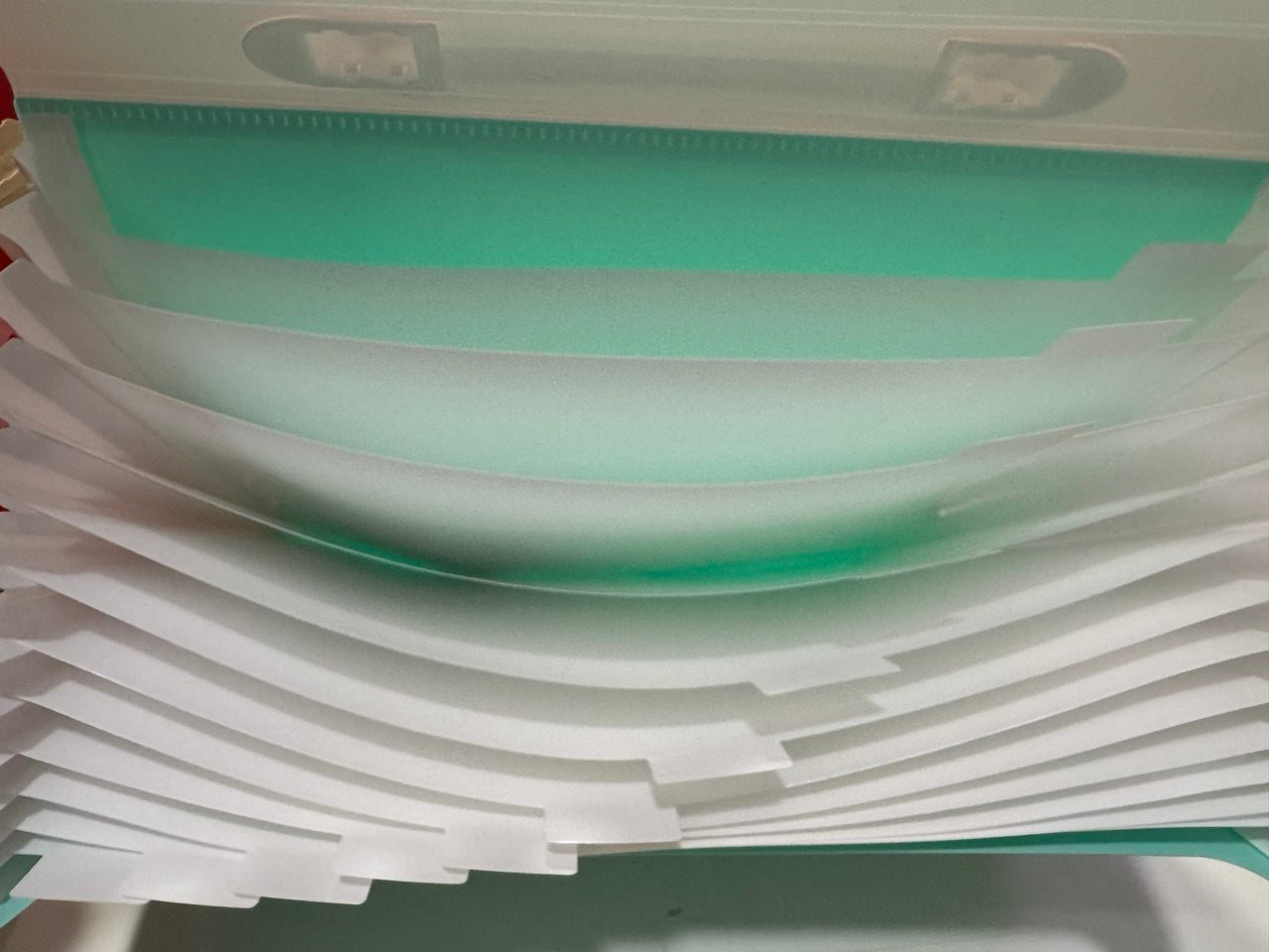 Classificatore a soffietto 13 scomparti - Pastel Dots Verde