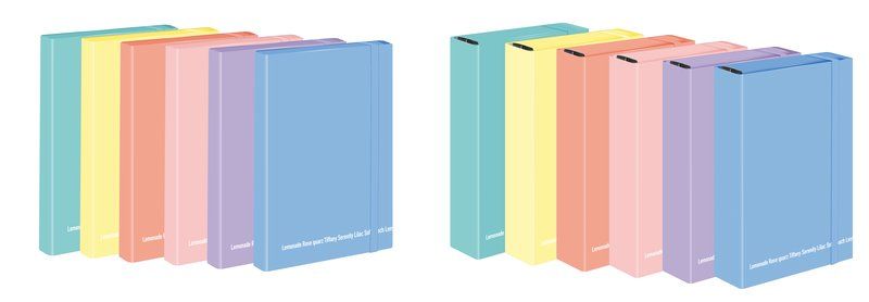 SCATOLE PROGETTI HAPPY COLOR PASTEL DORSO 3 33X24 COL ASS.