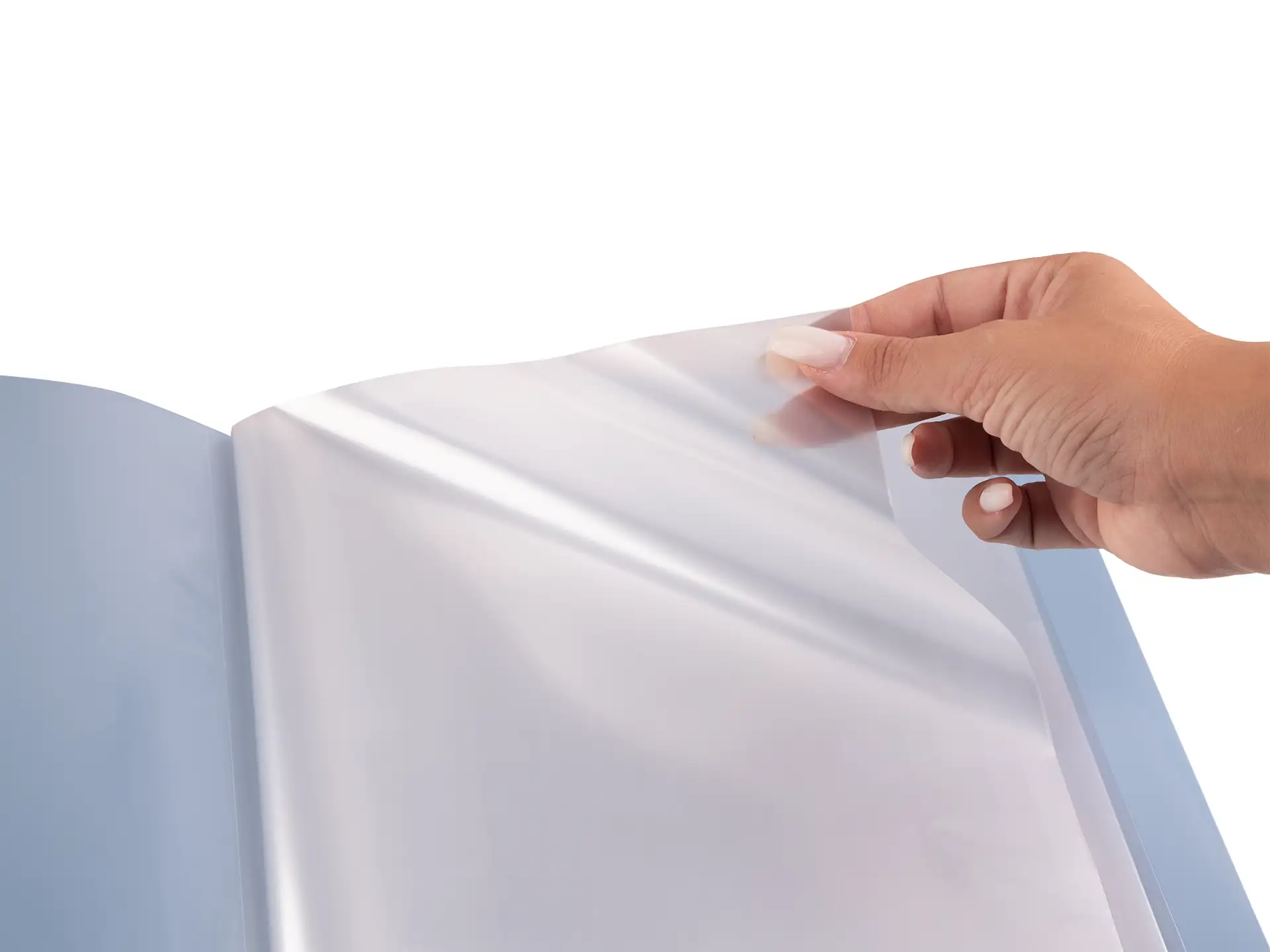 Portalistino A4 Wild – 10 buste - Avion