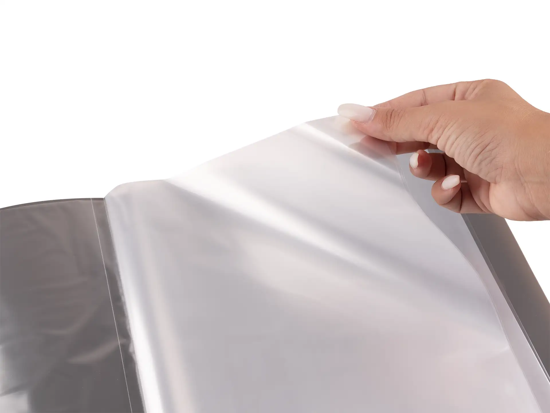 Portalistino A4 Wild – 60 buste - Grigio Fumo