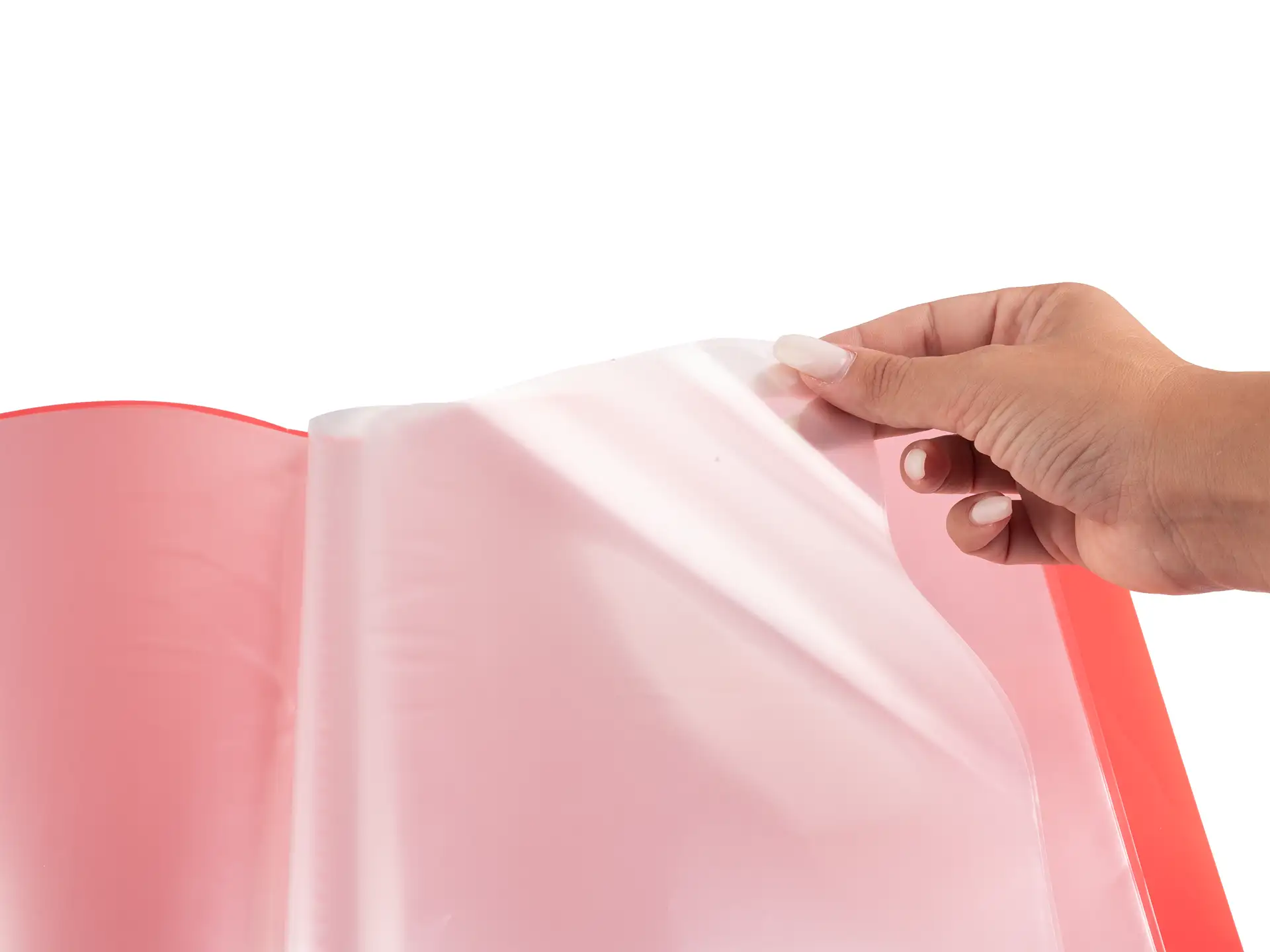 Portalistino A4 Wild – 60 buste - Hibiscus