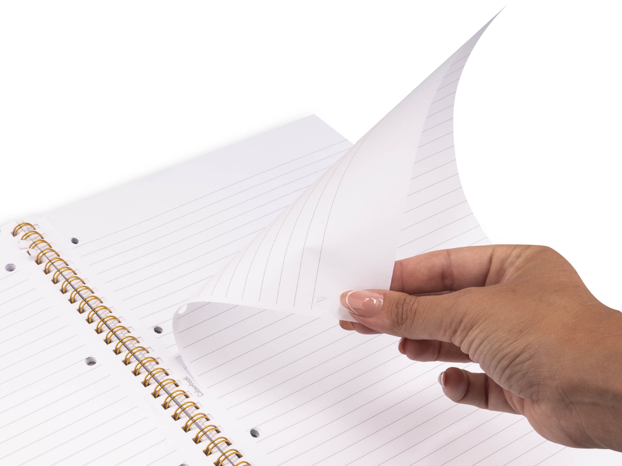 Quaderno A4 spiralato Funny and bears oversize 1R