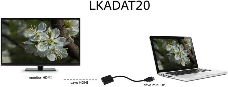 Adattatore Displayport Maschio a HDMI Femmina 4Kx2K