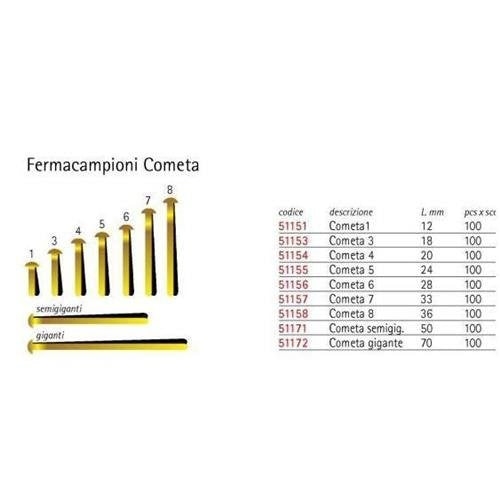 Molho Leone N°3 Fermacampioni in acciaio ottonato CF100 PZ