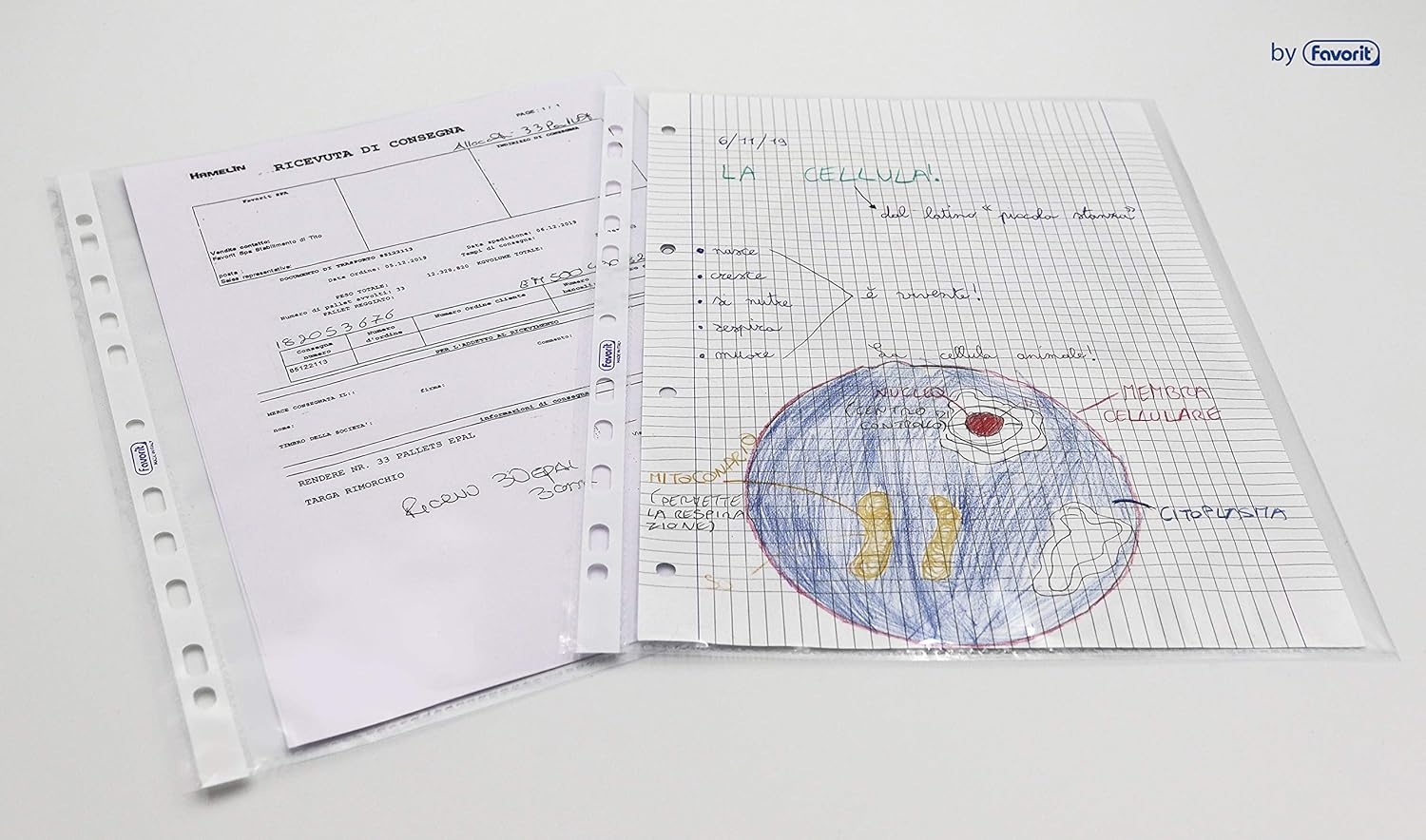 Favorit Superior - 23x33 cm - liscia spessore alto conf. 25