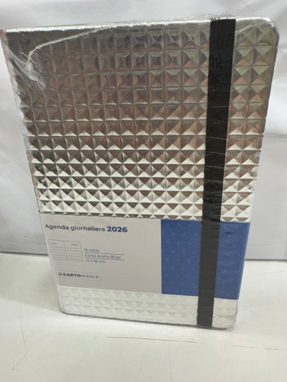 CARTOMANIA - PIXEL GLOW AGENDA GIORNALIERA 12MESI - SILVER
