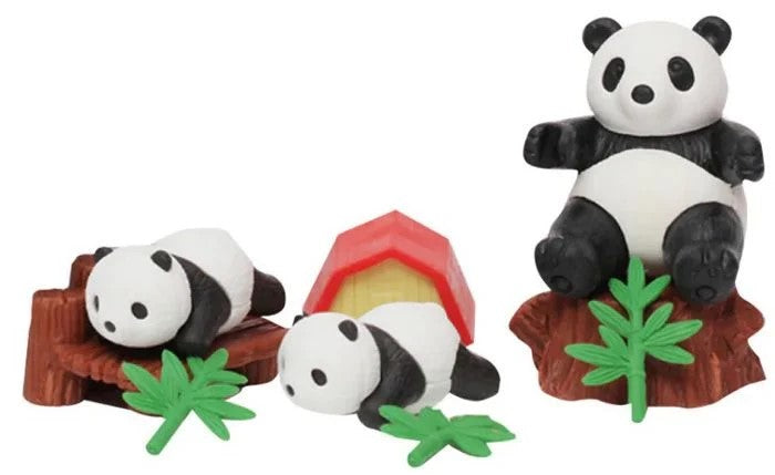 BLISTER GOMME IWACO TEMA PANDA