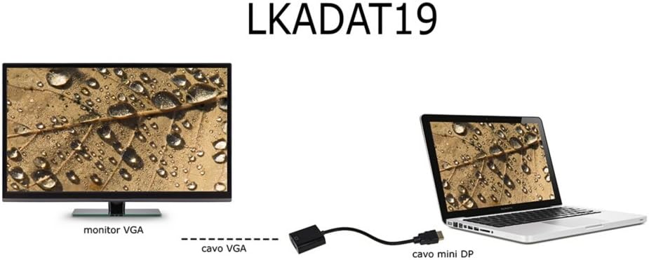 Adattatore Link Displayport maschio a VGA femmina 15 cm