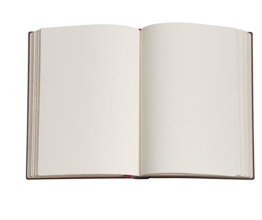 PAPERBLANKS AGENDA FIORI SELVATICI CREAZIONE GIOCOSE ULTRA